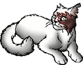 Thumbnail for version as of 18:51, October 13, 2017