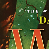 Dawn Of The Clans Warriors Wiki Fandom
