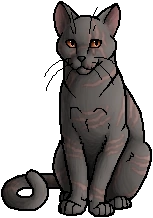 latest?cb=20190315050910