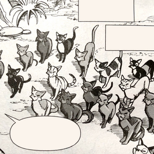 Thunderclan Warriors Wiki Fandom