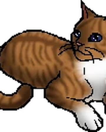 Fawnstep Warriors Wiki Fandom