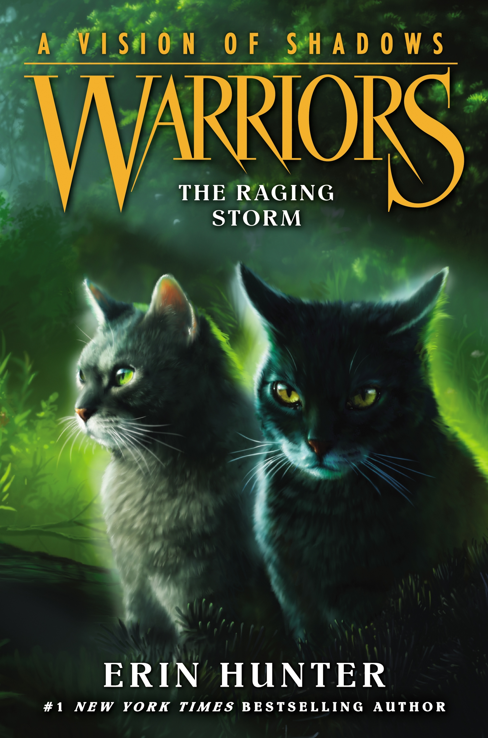 The Raging Storm Warriors Wiki Fandom Powered By Wikia