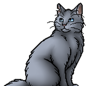 Bluestar Main Article Warriors Wiki Fandom