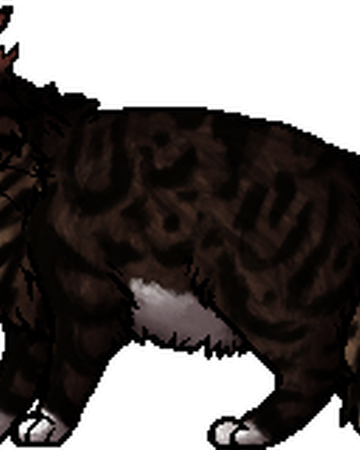 Strikestone Main Article Warriors Wiki Fandom