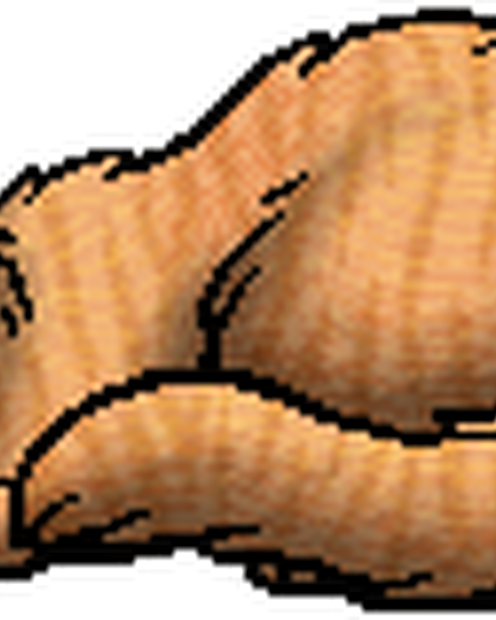 Beech Tail Warriors Wiki Fandom