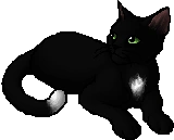 latest?cb=20171030204319