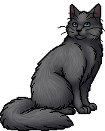 Jayclaw Warriors Wiki Fandom