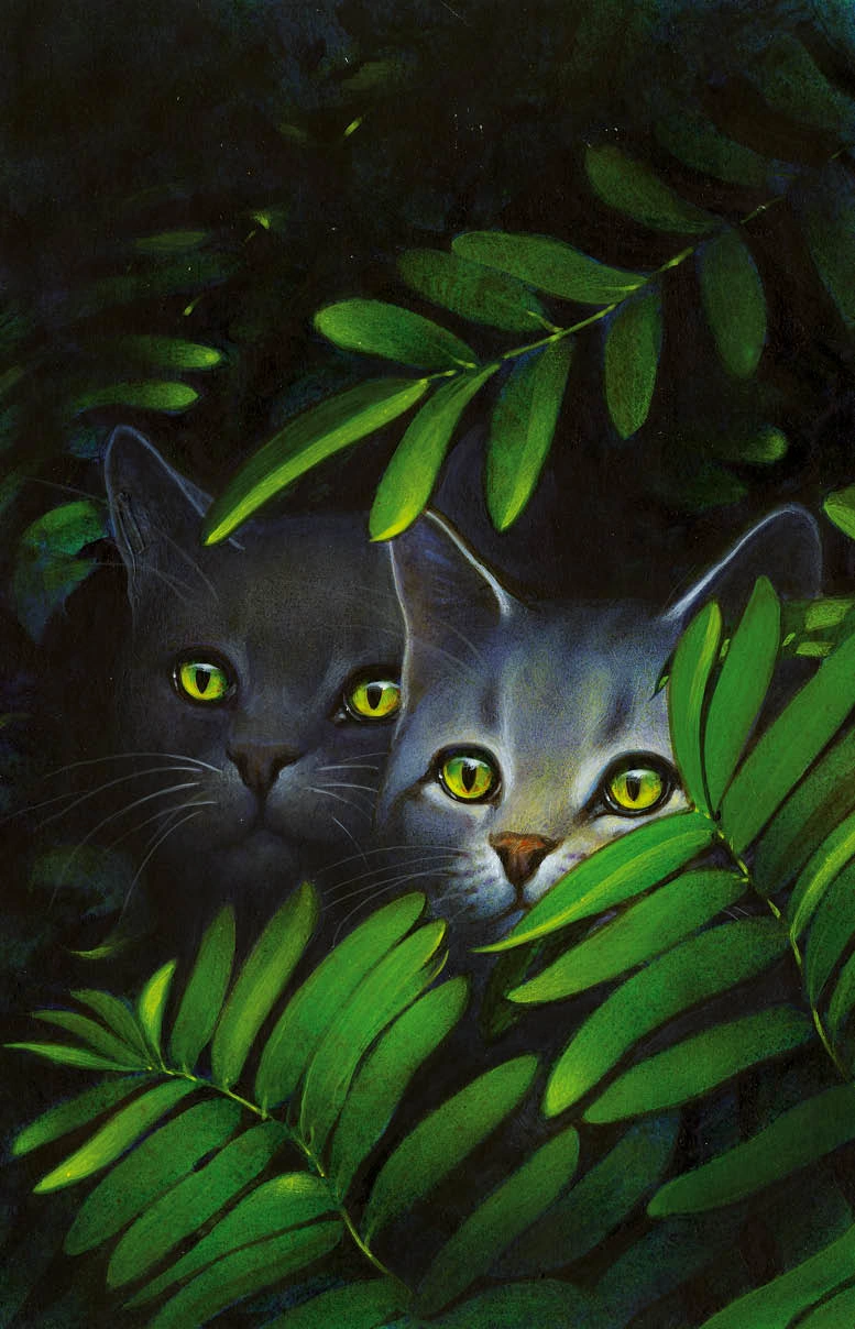 Millie | Warriors Wiki | FANDOM powered by Wikia