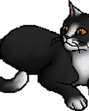 Swiftpaw Tpb Warriors Wiki Fandom