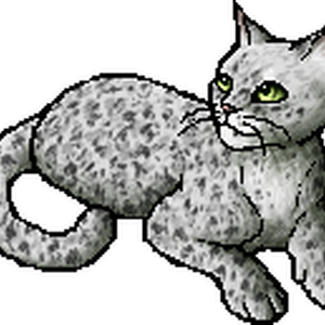 Ferncloud Main Article Warriors Wiki Fandom