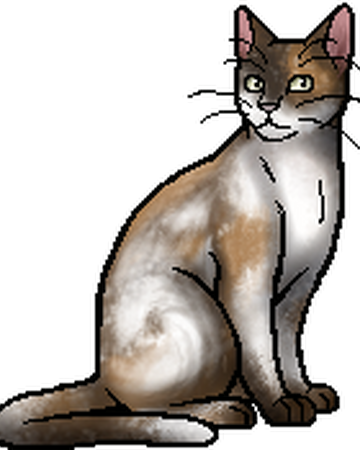 Fringewhisker Warriors Wiki Fandom