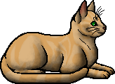 Sandstorm.elder
