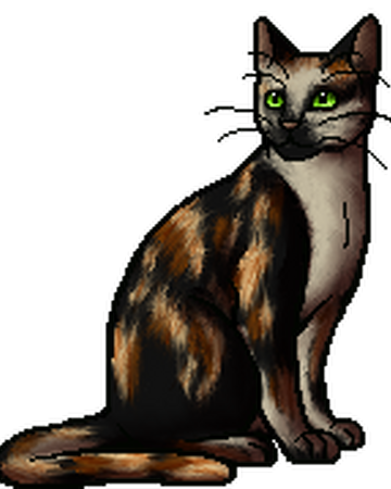Shellfur Warriors Wiki Fandom