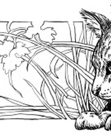 Midnight Book Chapter 10 Warriors Wiki Fandom