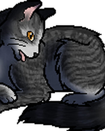 Stone Song Dotc Warriors Wiki Fandom