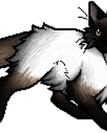 Cypresspaw Warriors Wiki Fandom