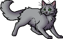 Dovewing.apprentice