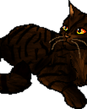 Squirrelwhisker Warriors Wiki Fandom