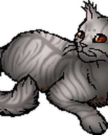 Tawnyspots Warriors Wiki Fandom