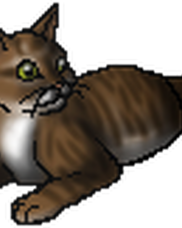 Emberkit Dotc Warriors Wiki Fandom