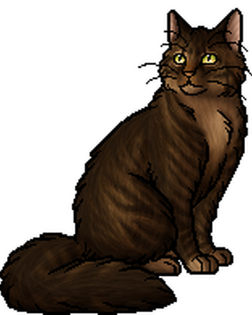 Warrior Cats Herb List And Uses