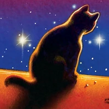 Leafpool Main Article Warriors Wiki Fandom