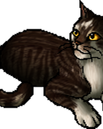 Swiftbreeze Warriors Wiki Fandom
