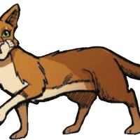 Clovertail Warriors Wiki Fandom