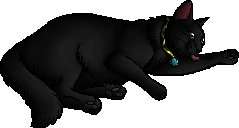 Loki Warriors Wiki Fandom