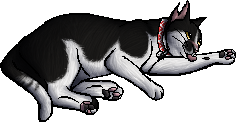 Jacques Warriors Wiki Fandom