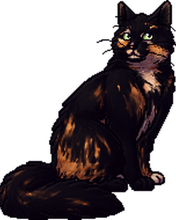 Turtlecrawl Warriors Wiki Fandom