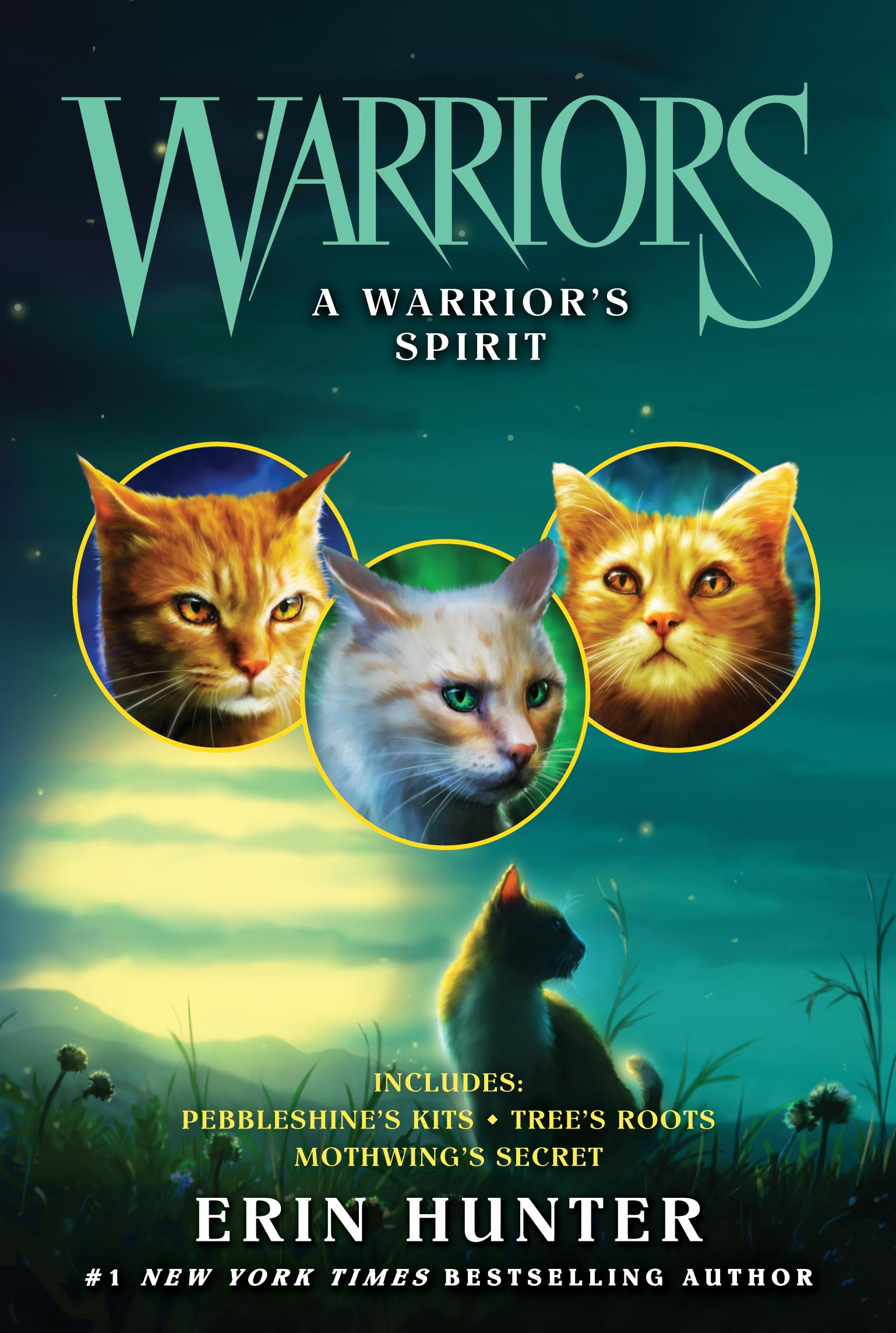 vision of shadows warriors book 3
