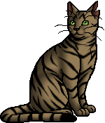 Firestar, Warrior cats Wiki