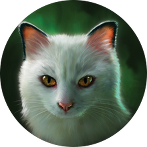 Blackstar Warriors Wiki Fandom