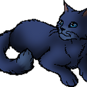 Bluestar Main Article Warriors Wiki Fandom