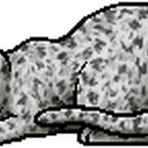 Ferncloud Main Article Warriors Wiki Fandom
