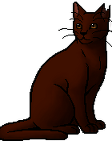 Kitescratch Warriors Wiki Fandom