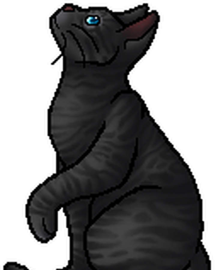 Stone Song Pot Warriors Wiki Fandom