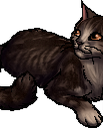 Voletooth Warriors Wiki Fandom