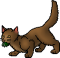 Thumbnail for version as of 01:33, December 20, 2011