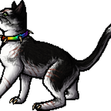 Bone Warriors Wiki Fandom