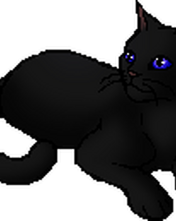 Darkflower Warriors Wiki Fandom