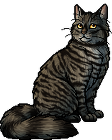 Owlnose Warriors Wiki Fandom