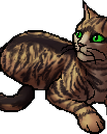 Runningwind Warriors Wiki Fandom