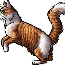 Dawn Mist Warriors Wiki Fandom