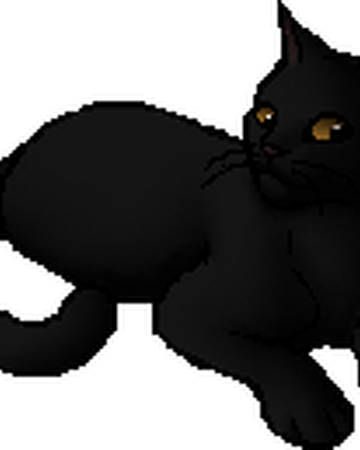 Sun Shadow Main Article Warriors Wiki Fandom