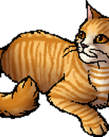 Lioneye Warriors Wiki Fandom