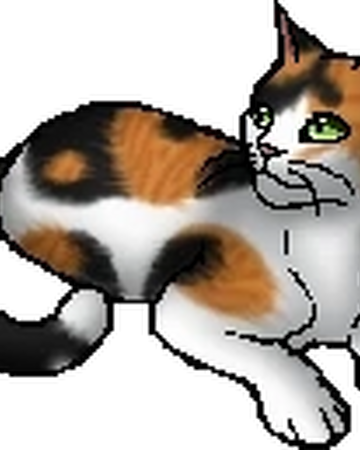 Sweetpaw Warriors Wiki Fandom