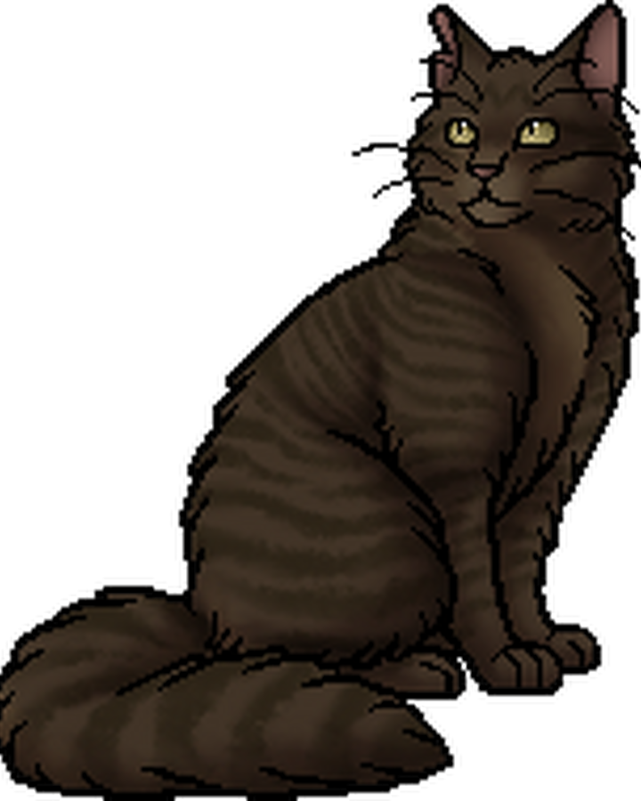 Duskfur Warriors Wiki Fandom