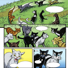 Windclan Warriors Wiki Fandom